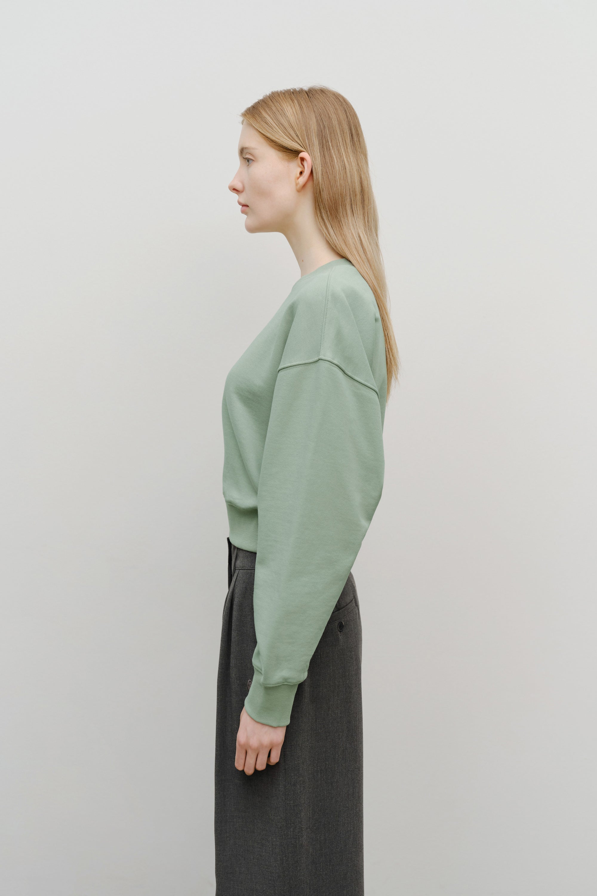 W Small Cl Crop Sweatshirt Mint Gray