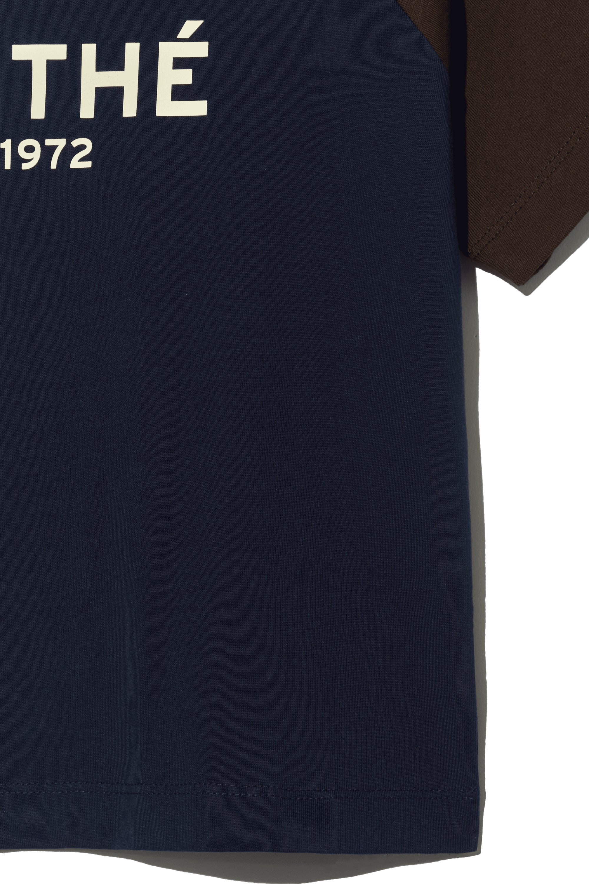 W Regular Logo Raglan Crop Tee Brown