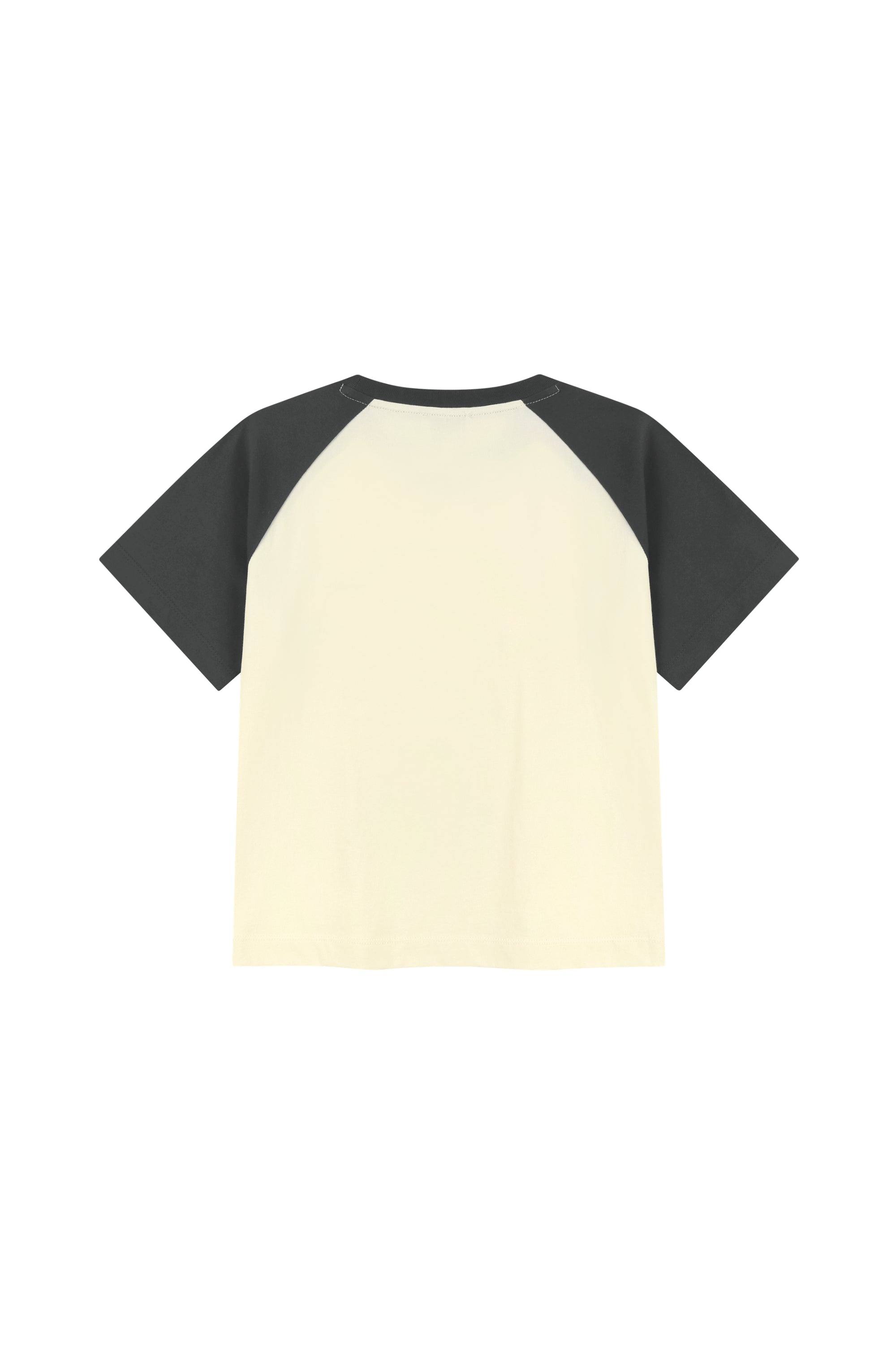 W Small Regular Logo Raglan Crop Tee Charcoal