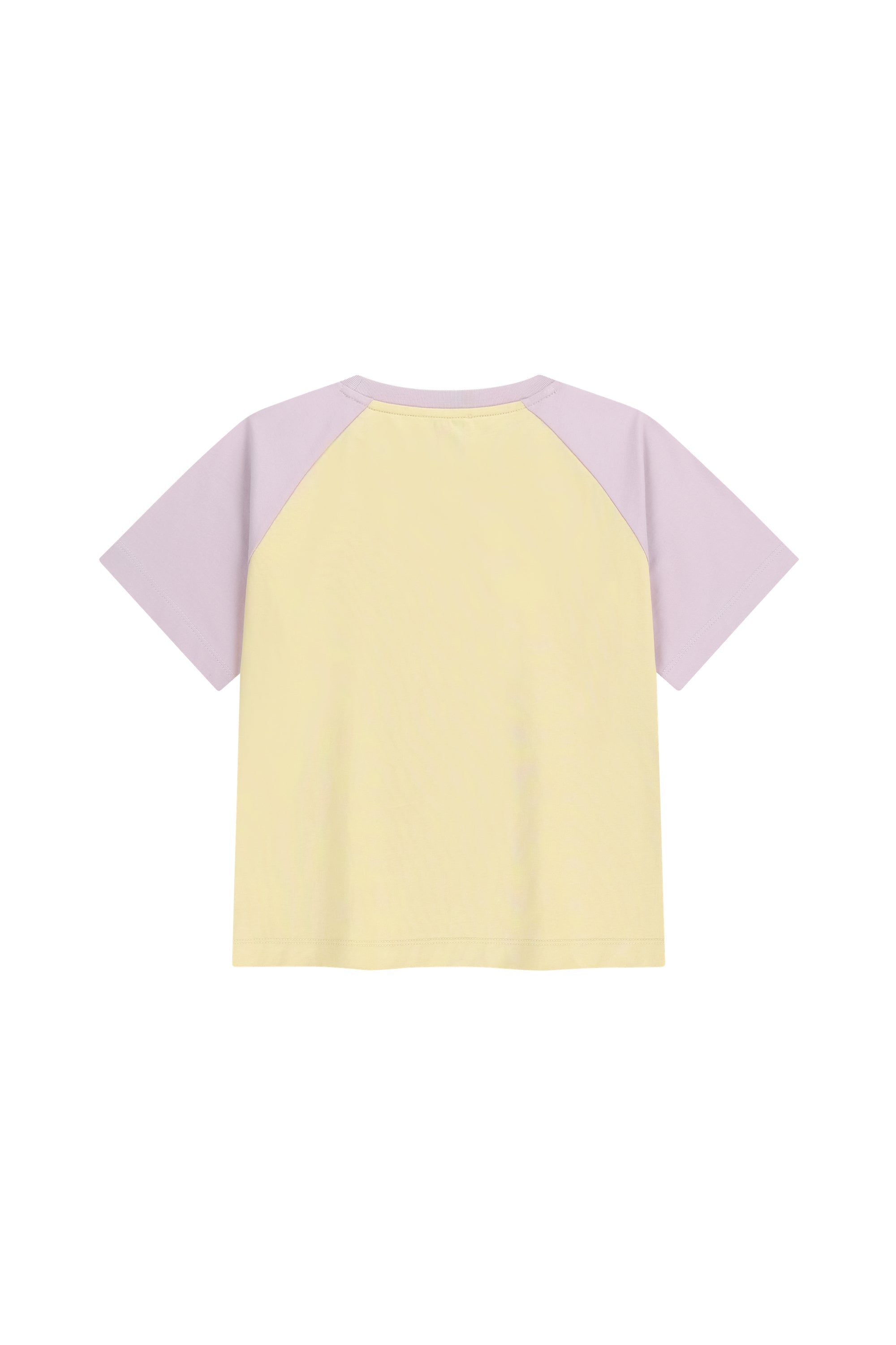 W Small Regular Logo Raglan Crop Tee Light Purple