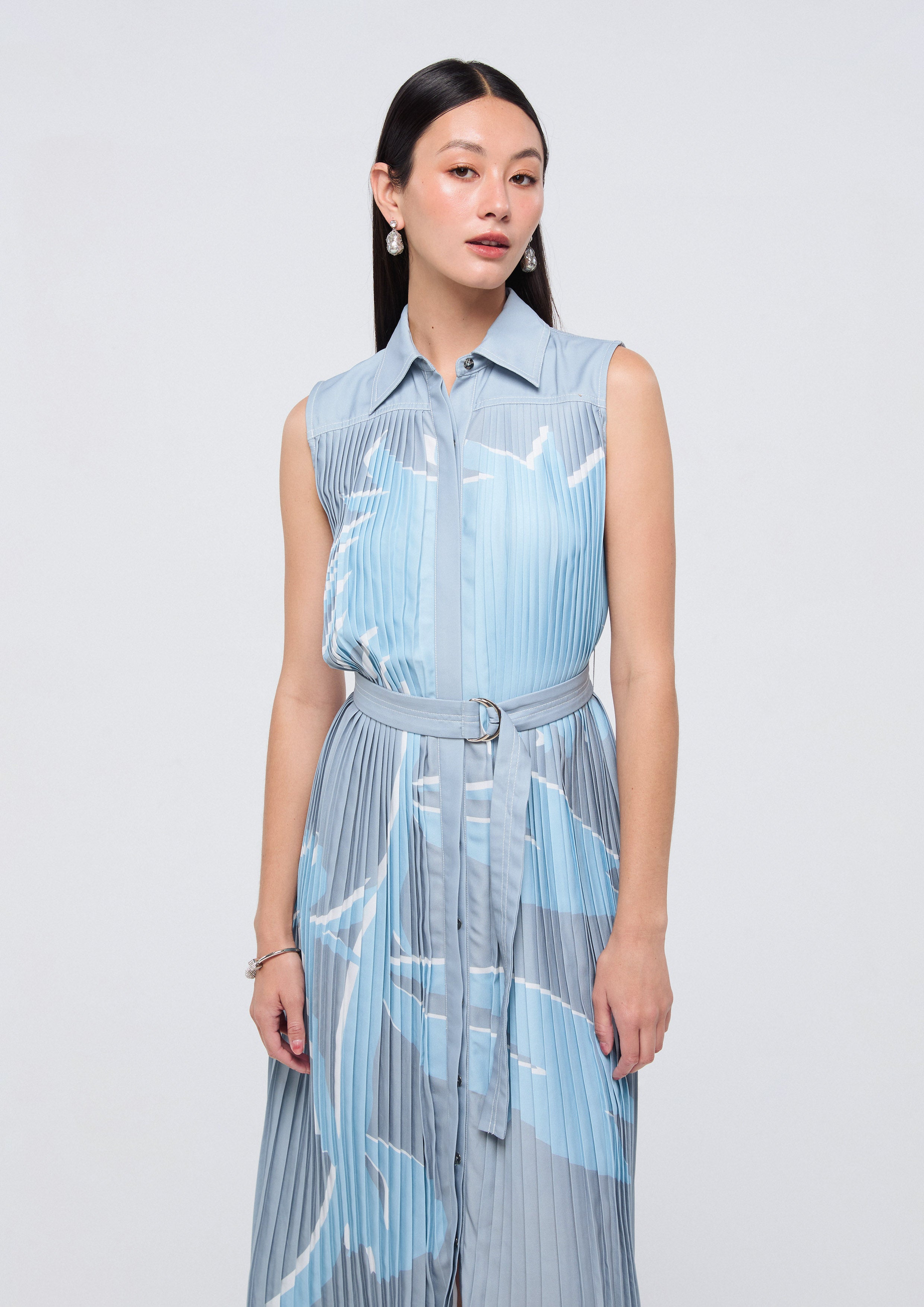 Print Pleated Midi Dress