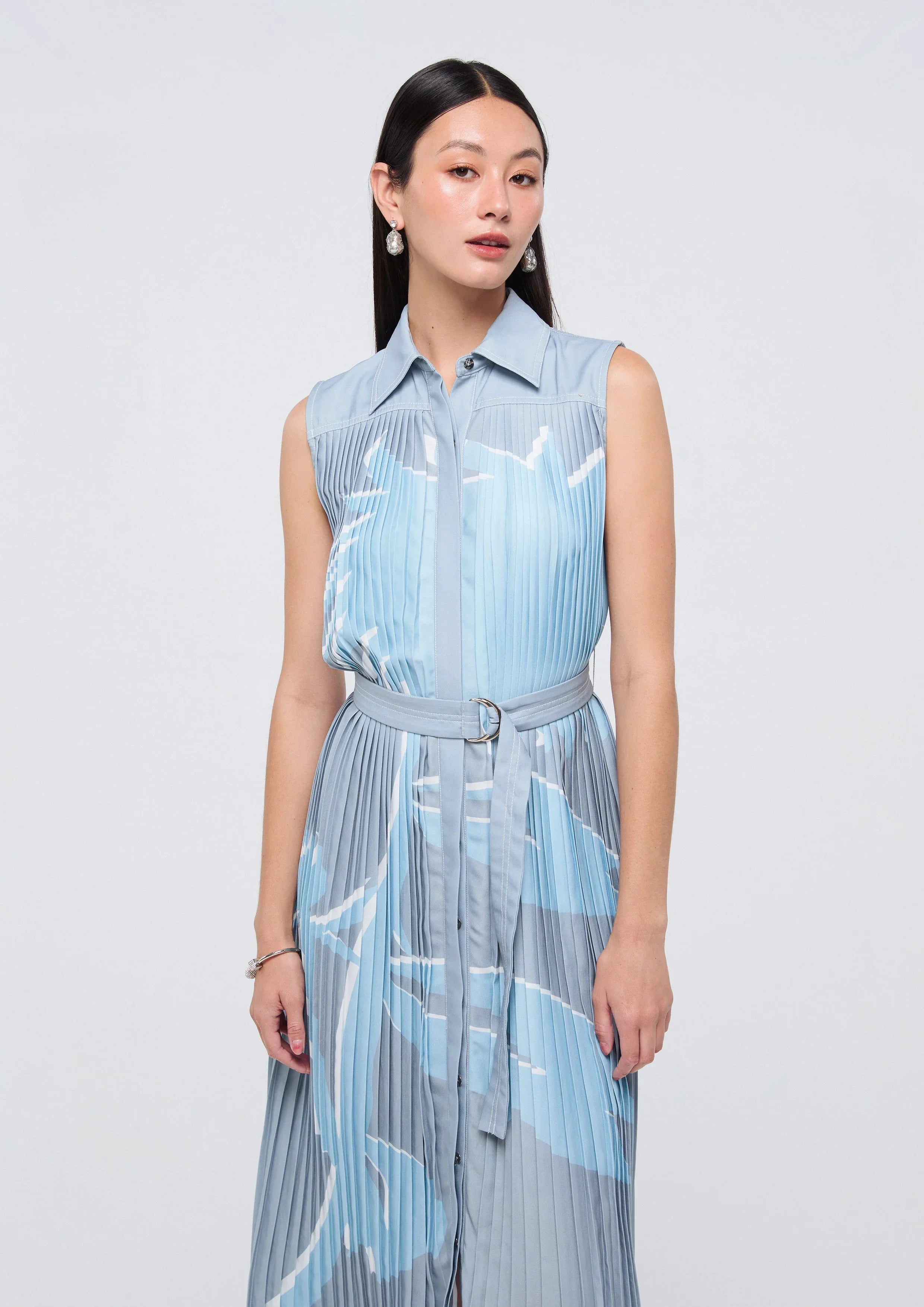 Print Pleated Midi Dress