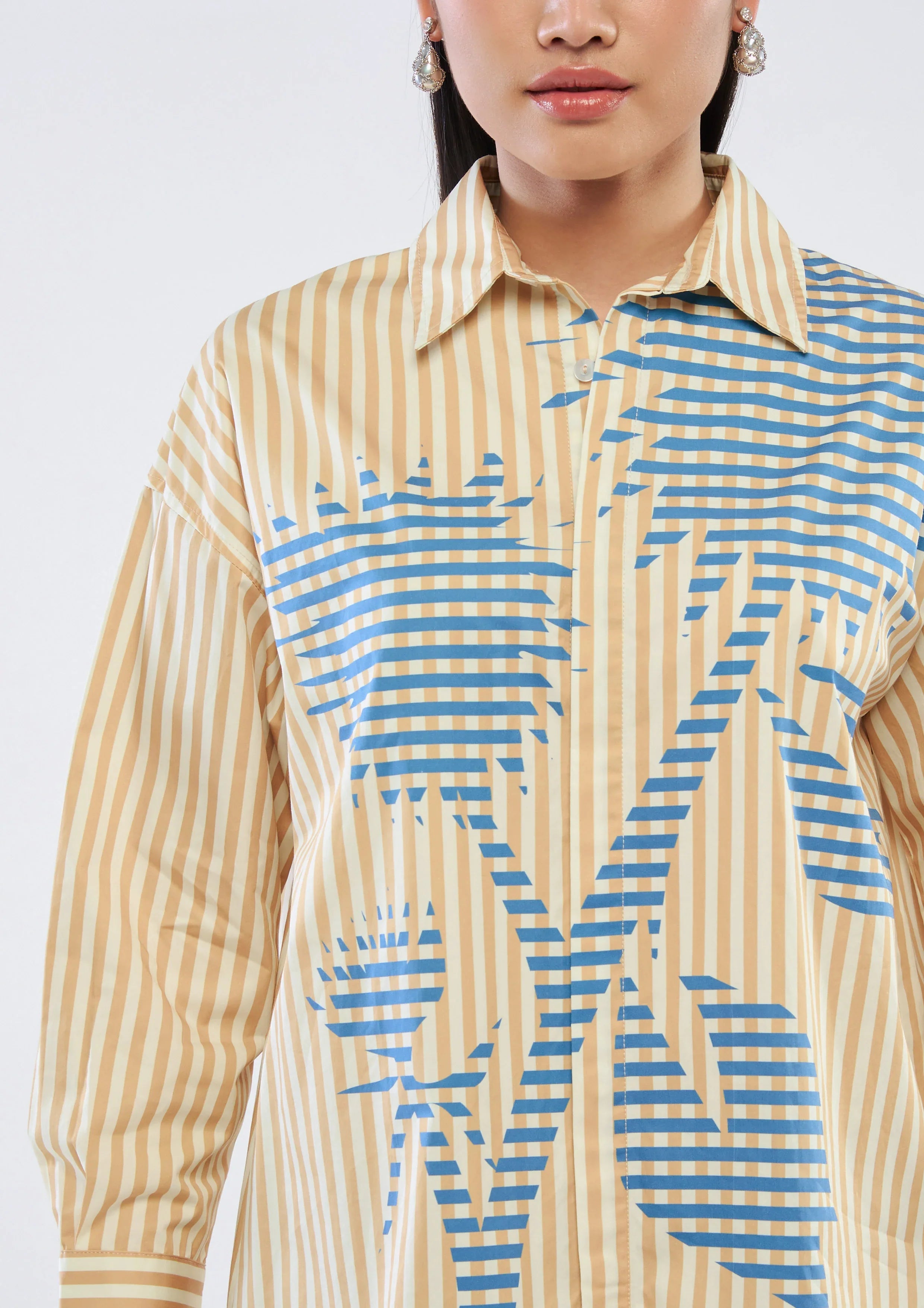 Stripe Print Long Sleeve Shirt