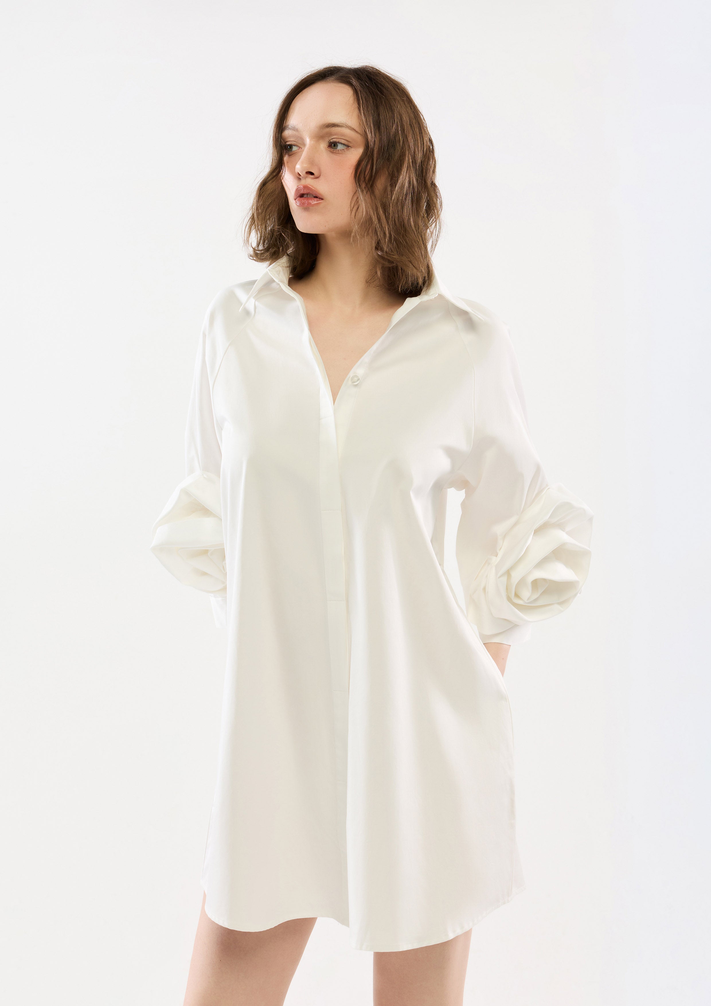 Satin Rose Embellished Sleeve Mini Dress
