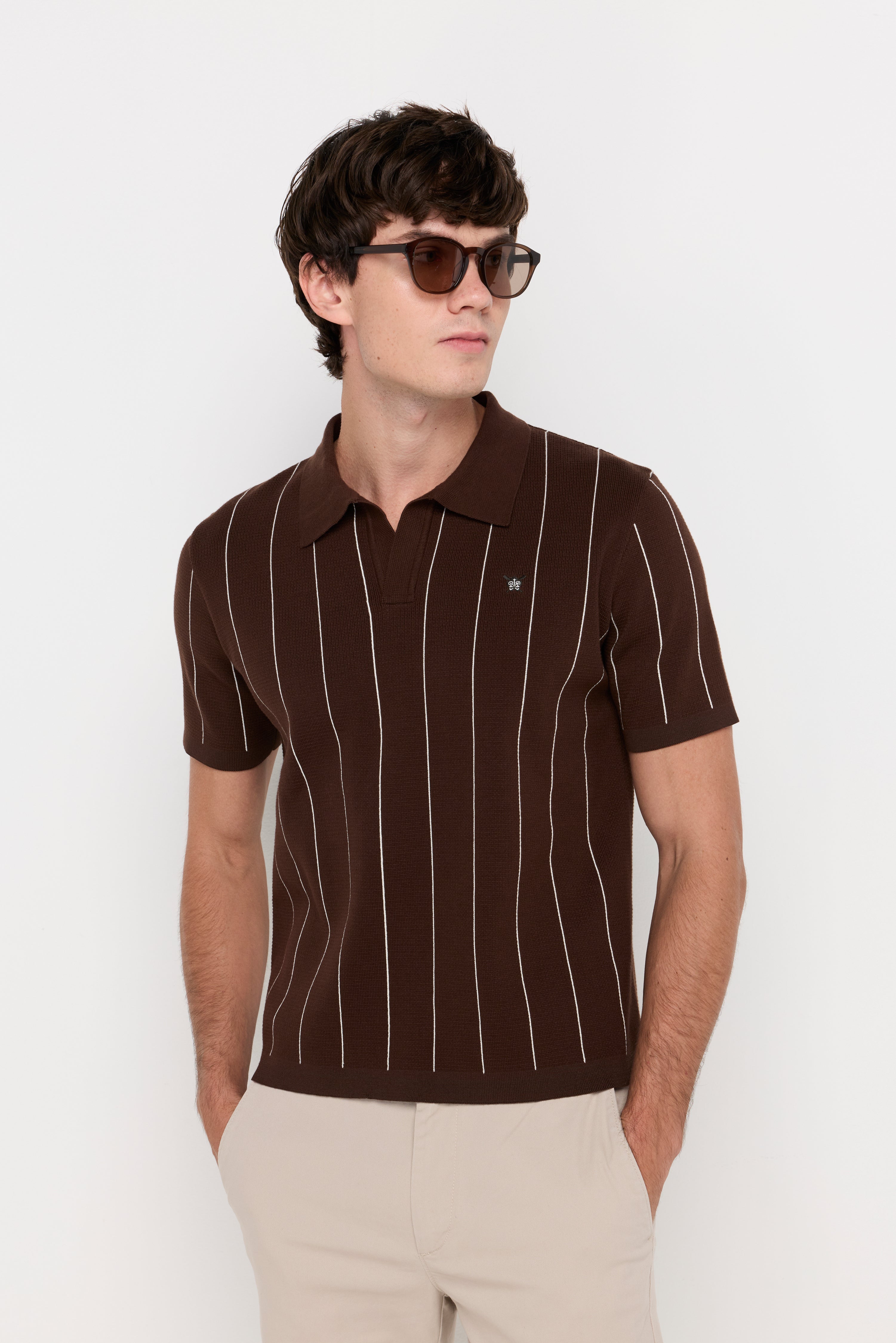 Vertical Stripe Textured Knit Polo Striped Brown