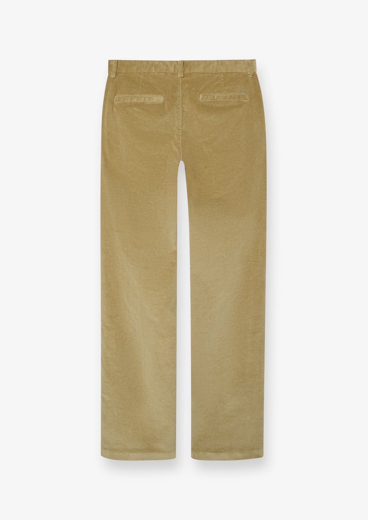 Everyday Straight Fit Chino Pants