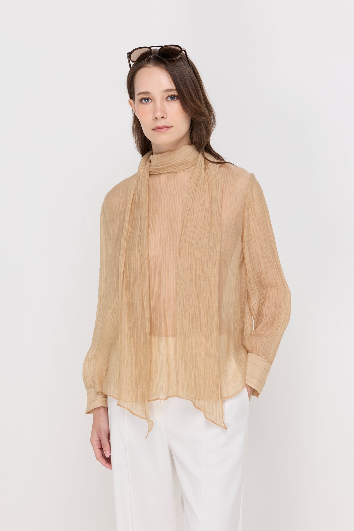 Crinkled Sheer Tie-Neck Blouse Brown