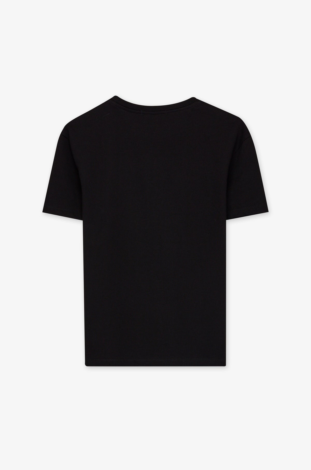 Raccoon Portrait Crew Neck T-Shirt