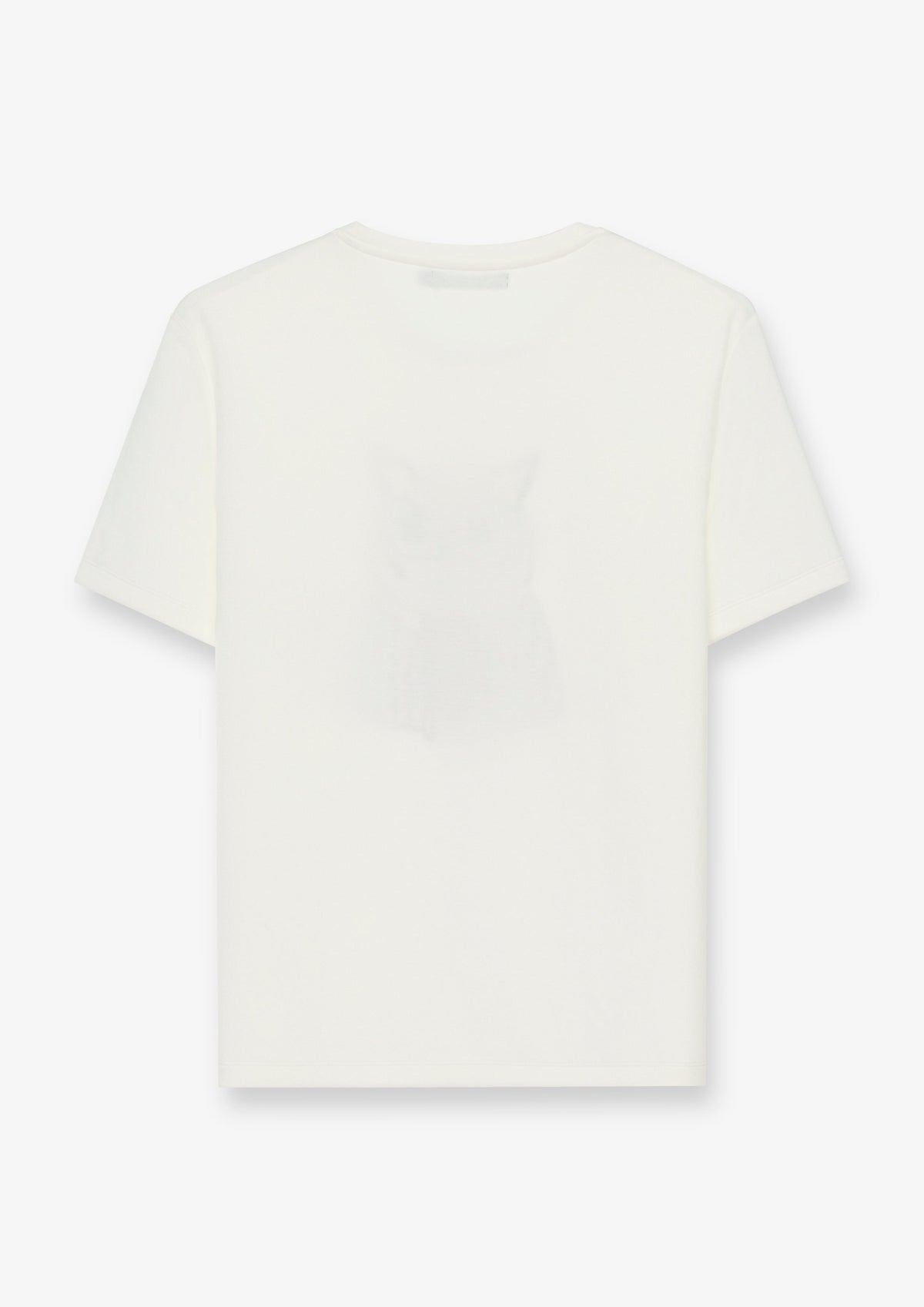 Illustrated Cat Graphic T-Shirt