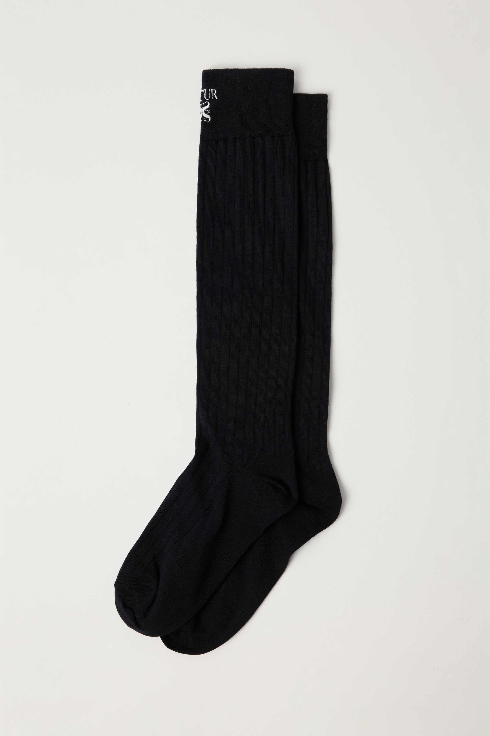(W) Seethrough Ribbed Socks Black
