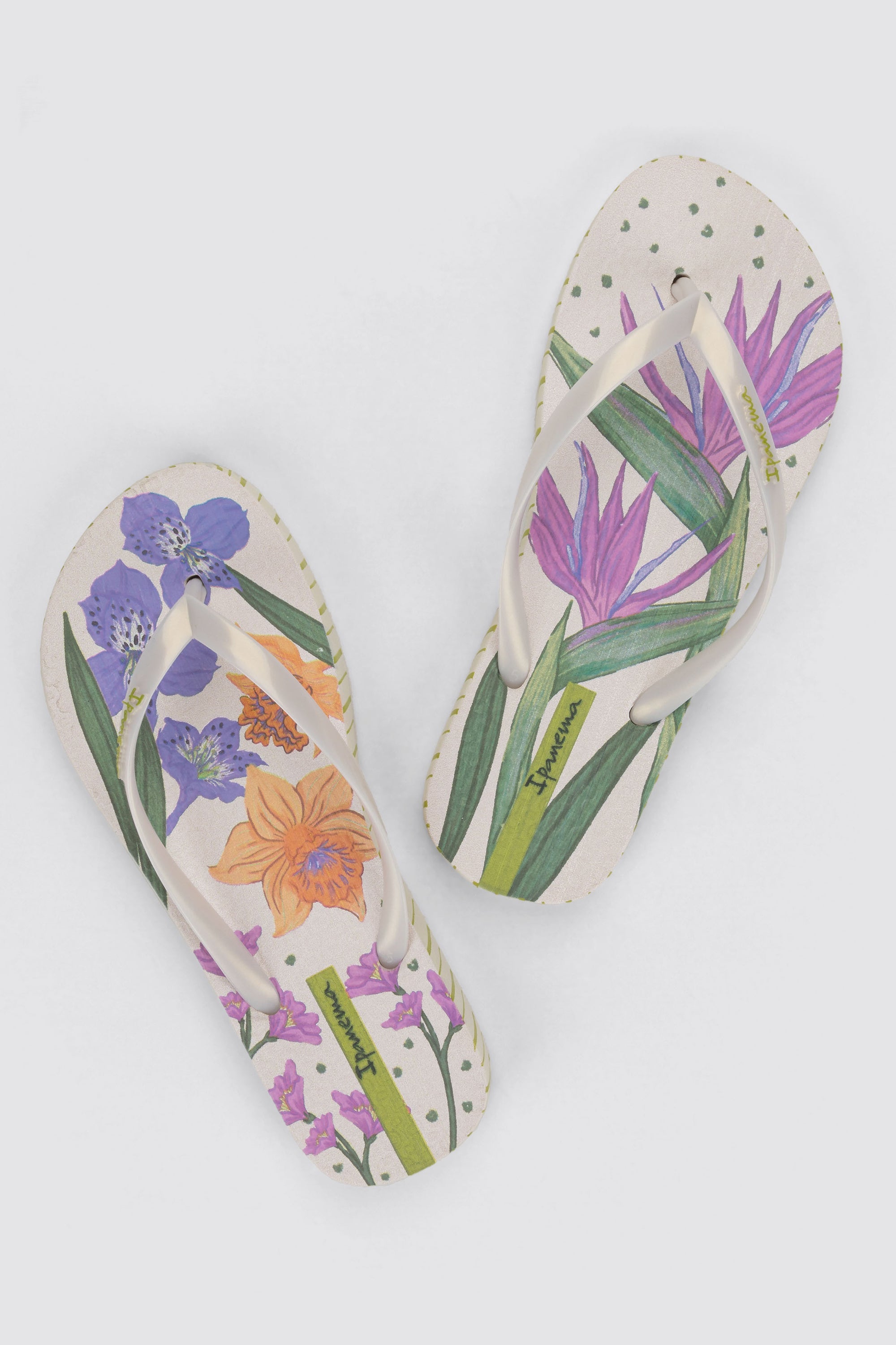 Ipanema Sem Igual Women