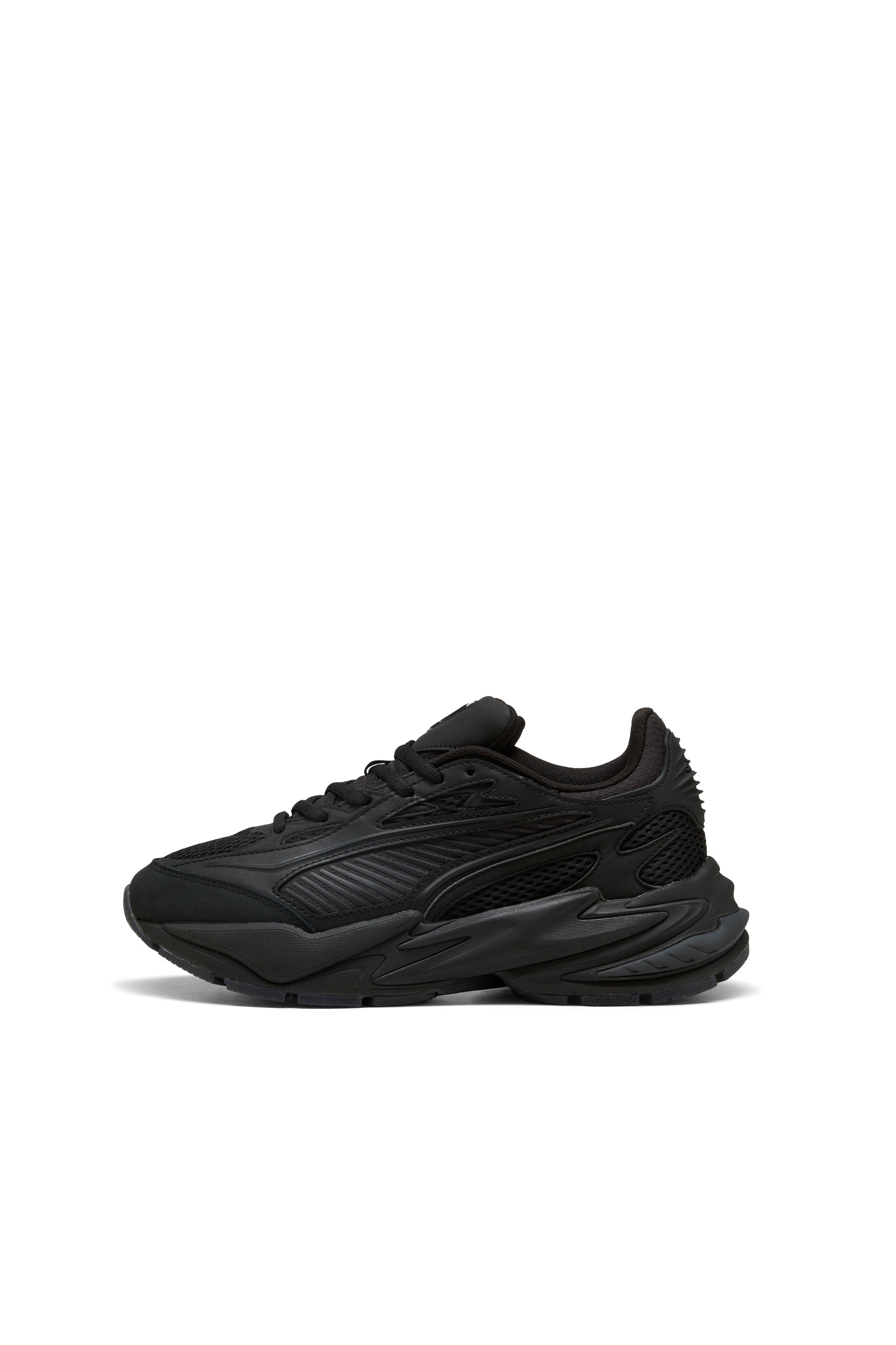 RS Surge