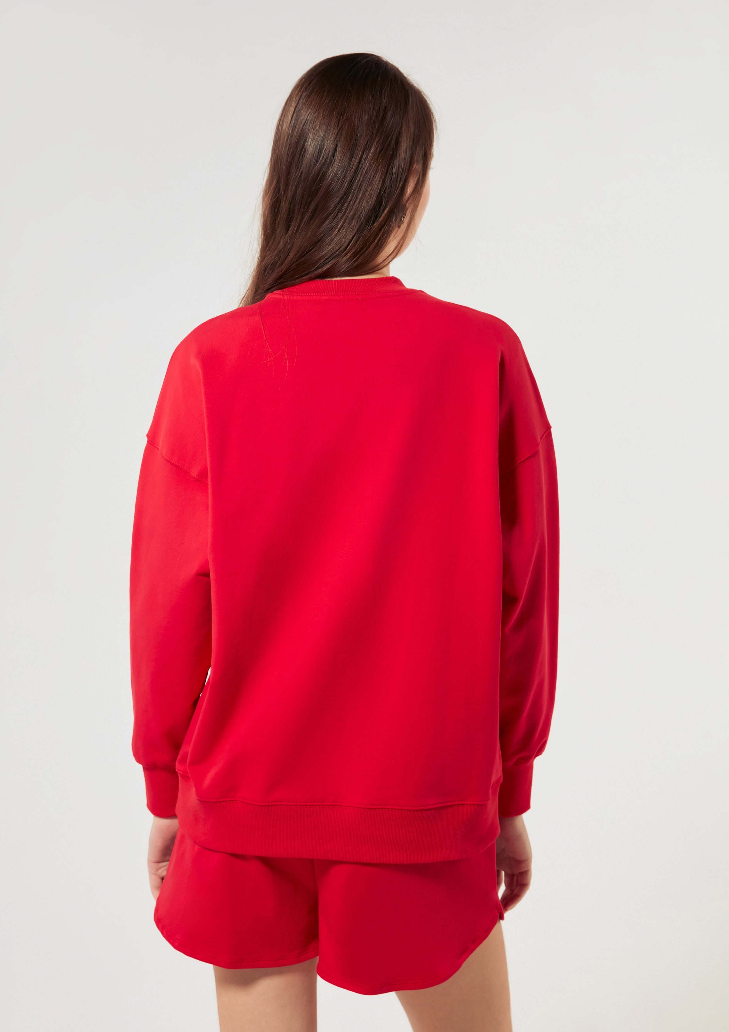 Cat Print With Logo Embroidery Pullover Lnrd Signature Red
