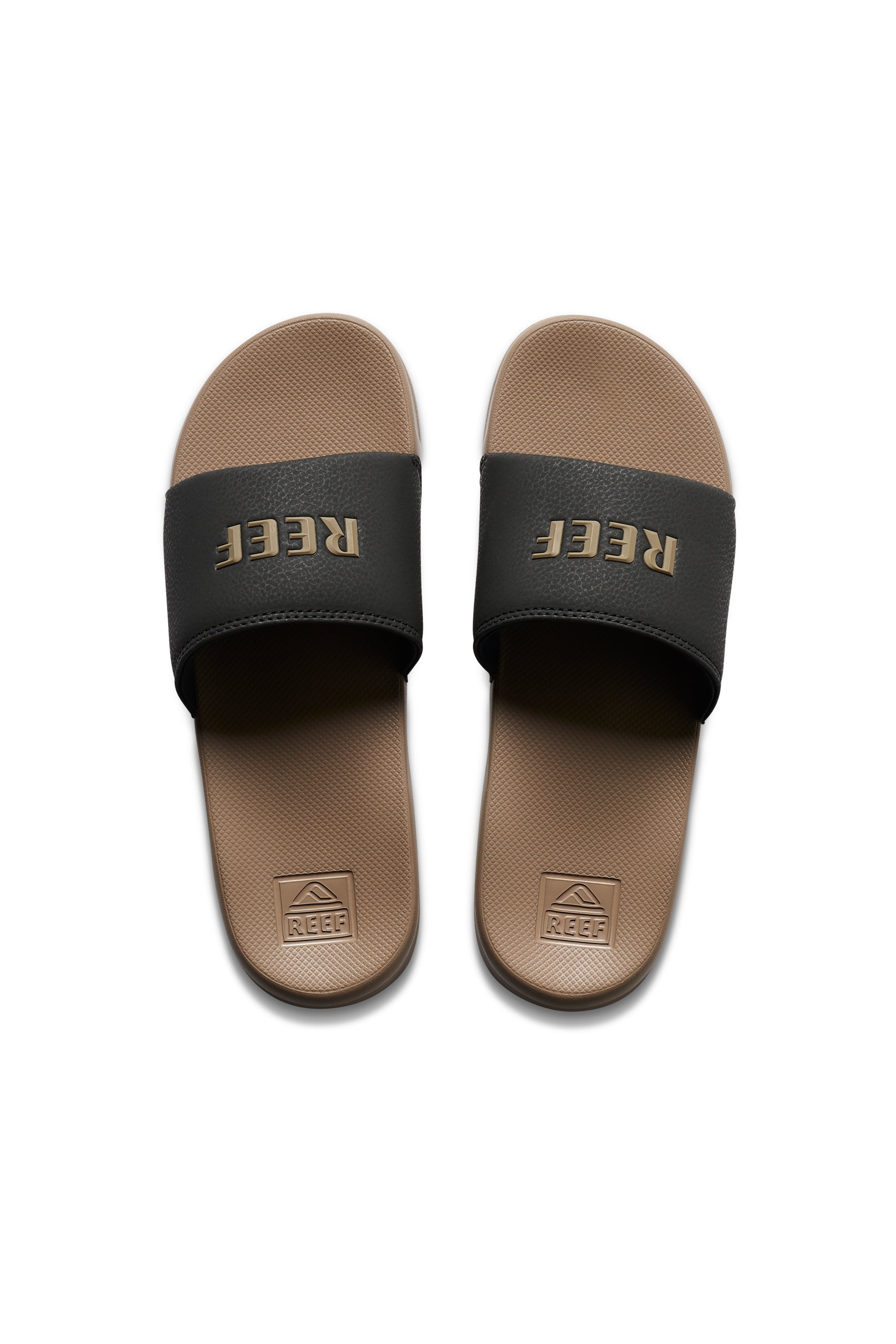 REEF ONE SLIDE