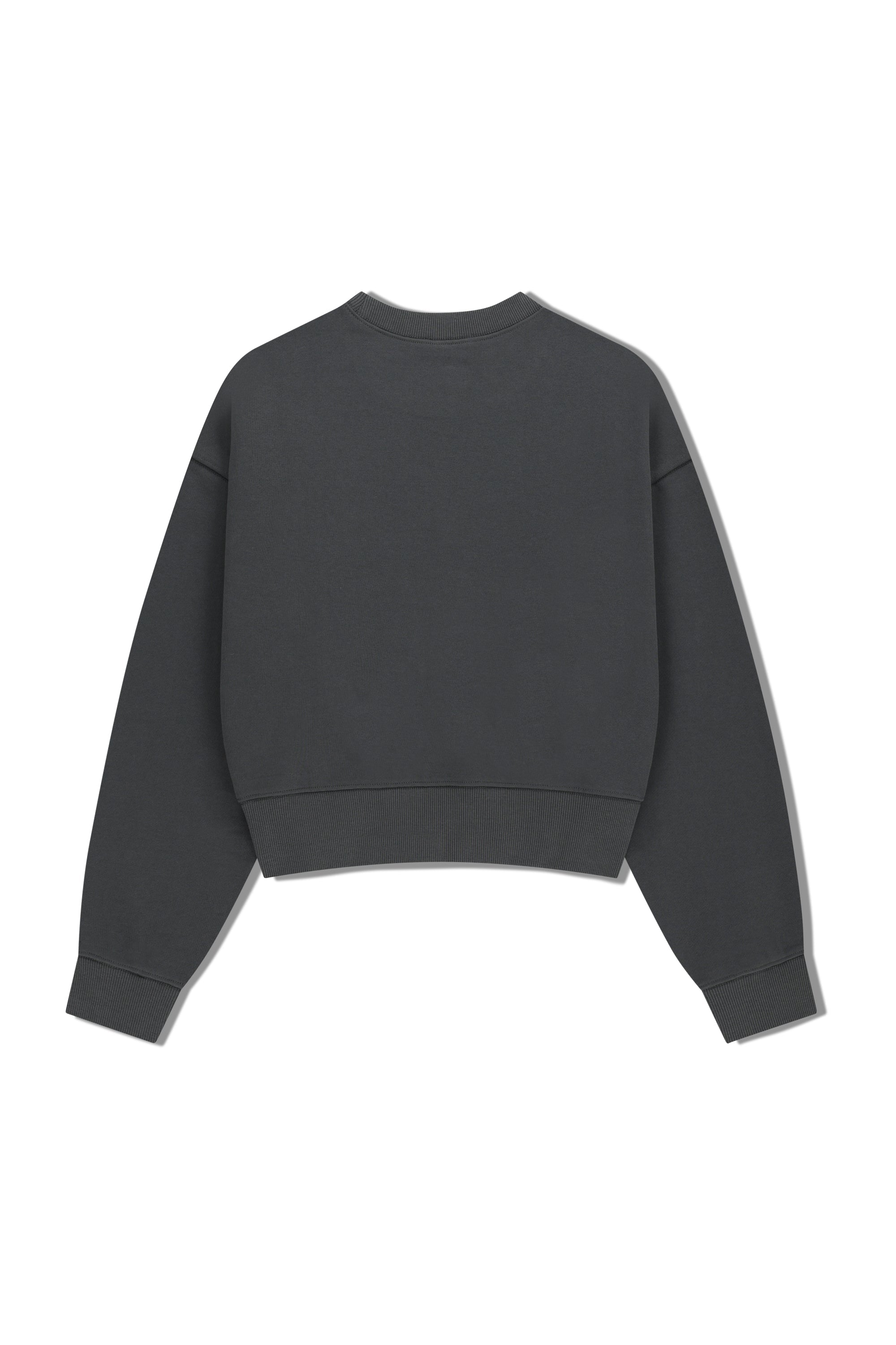 W Small Cl Crop Sweatshirt Charcoal