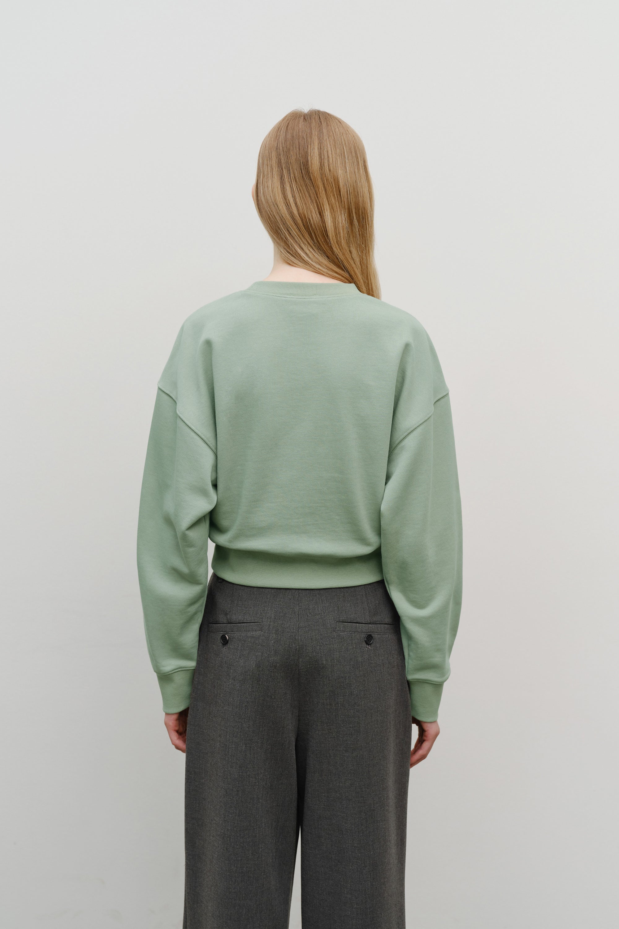 W Small Cl Crop Sweatshirt Mint Gray