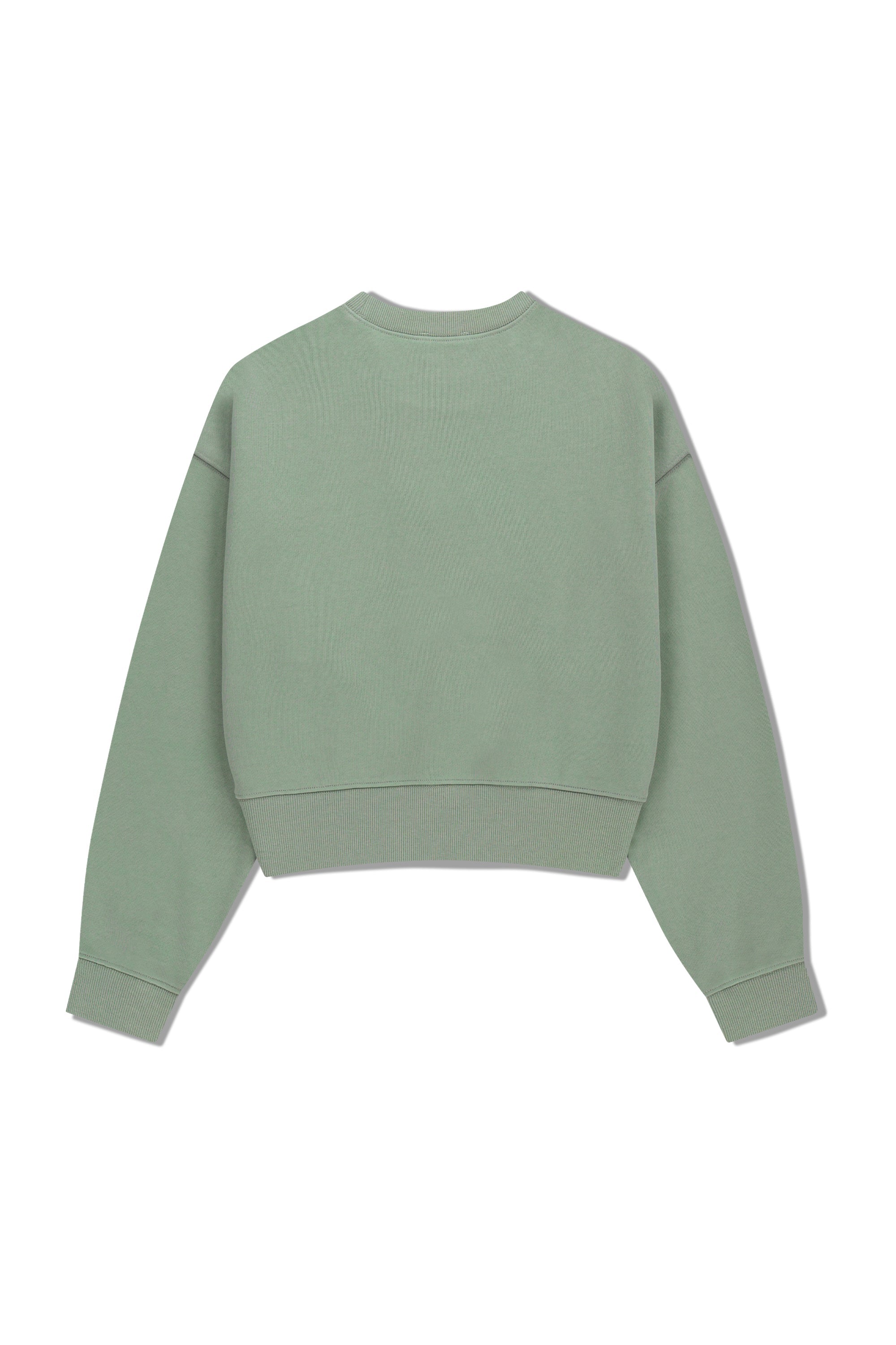 W Small Cl Crop Sweatshirt Mint Gray