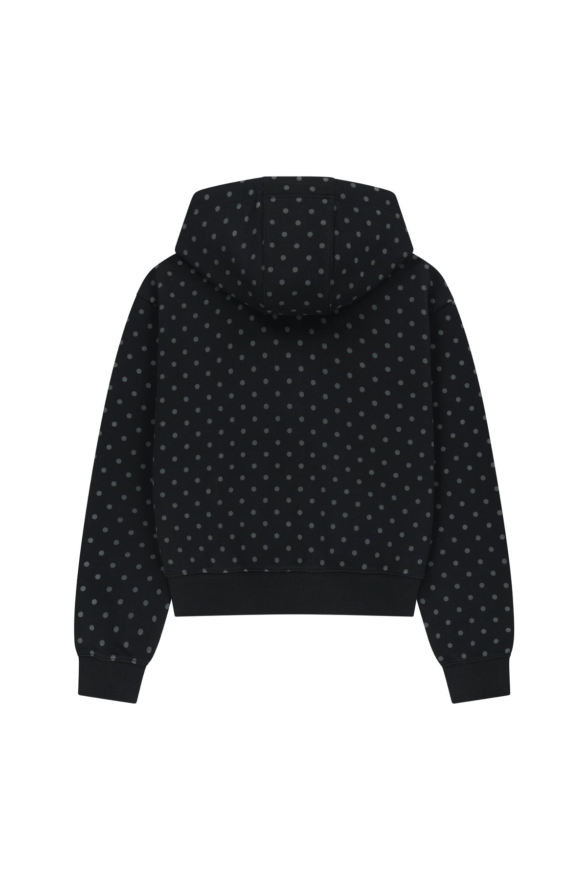 W Small Classic Logo Hoodie Zipup Dot