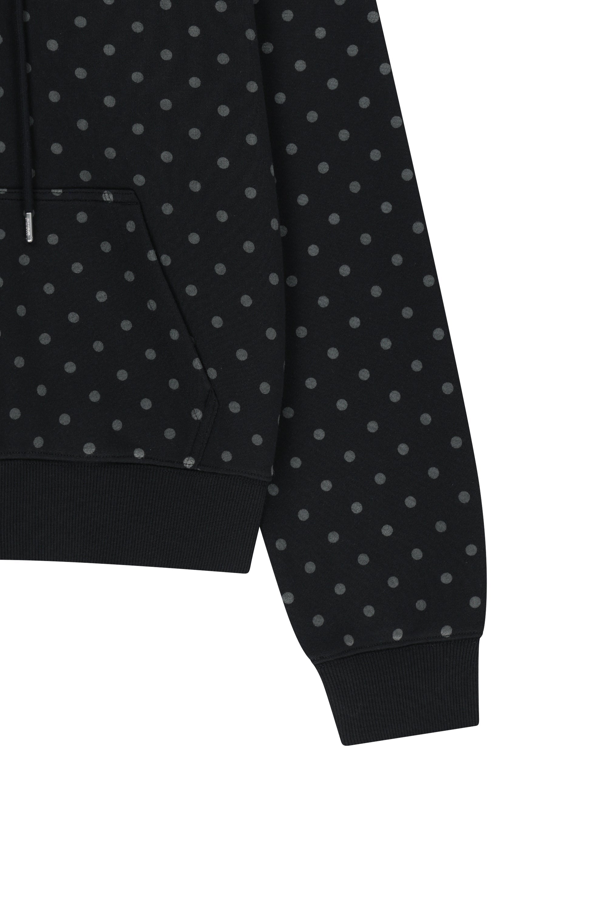 W Small Classic Logo Hoodie Zipup Dot