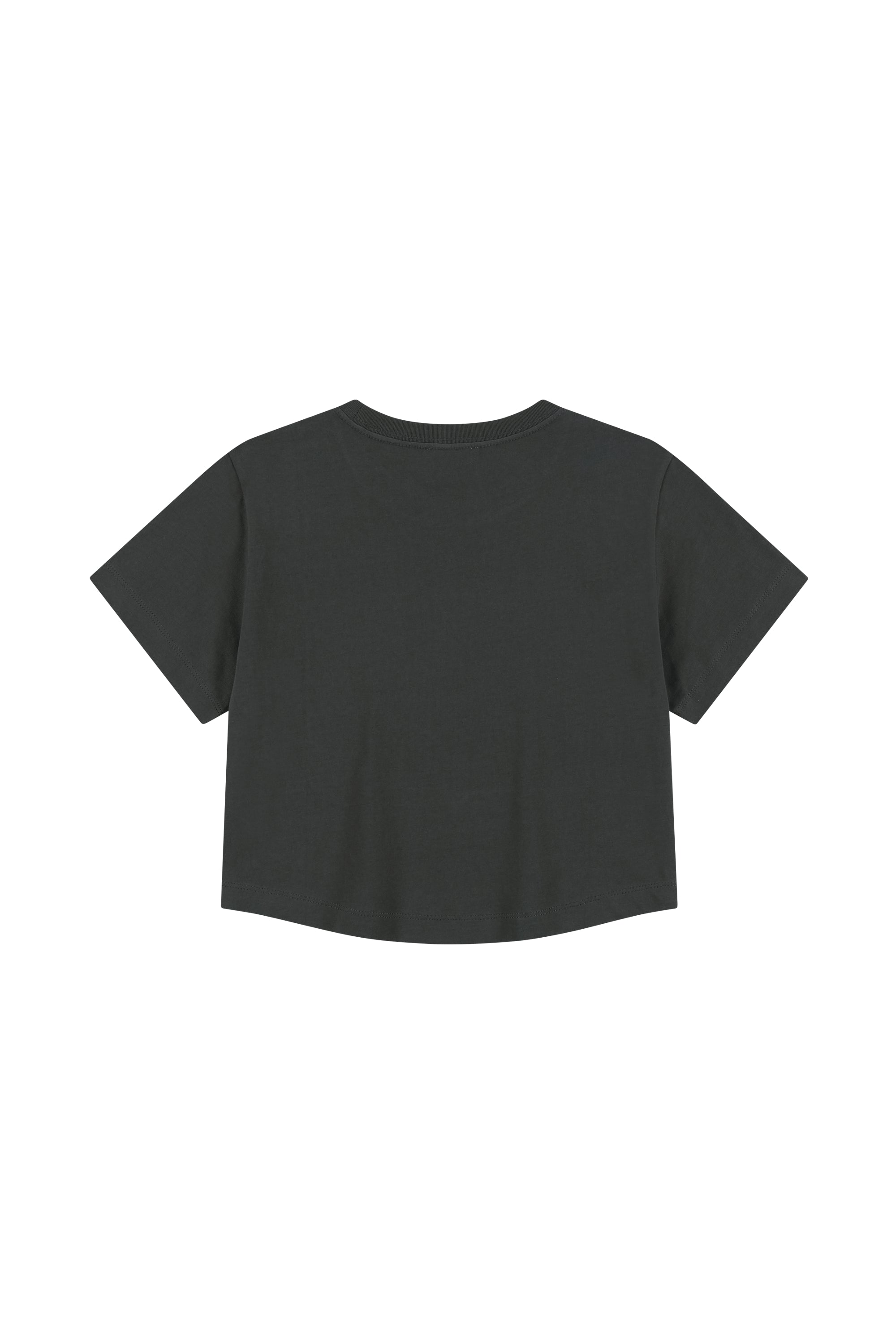 W Silver Lettering Crop Tee Charcoal