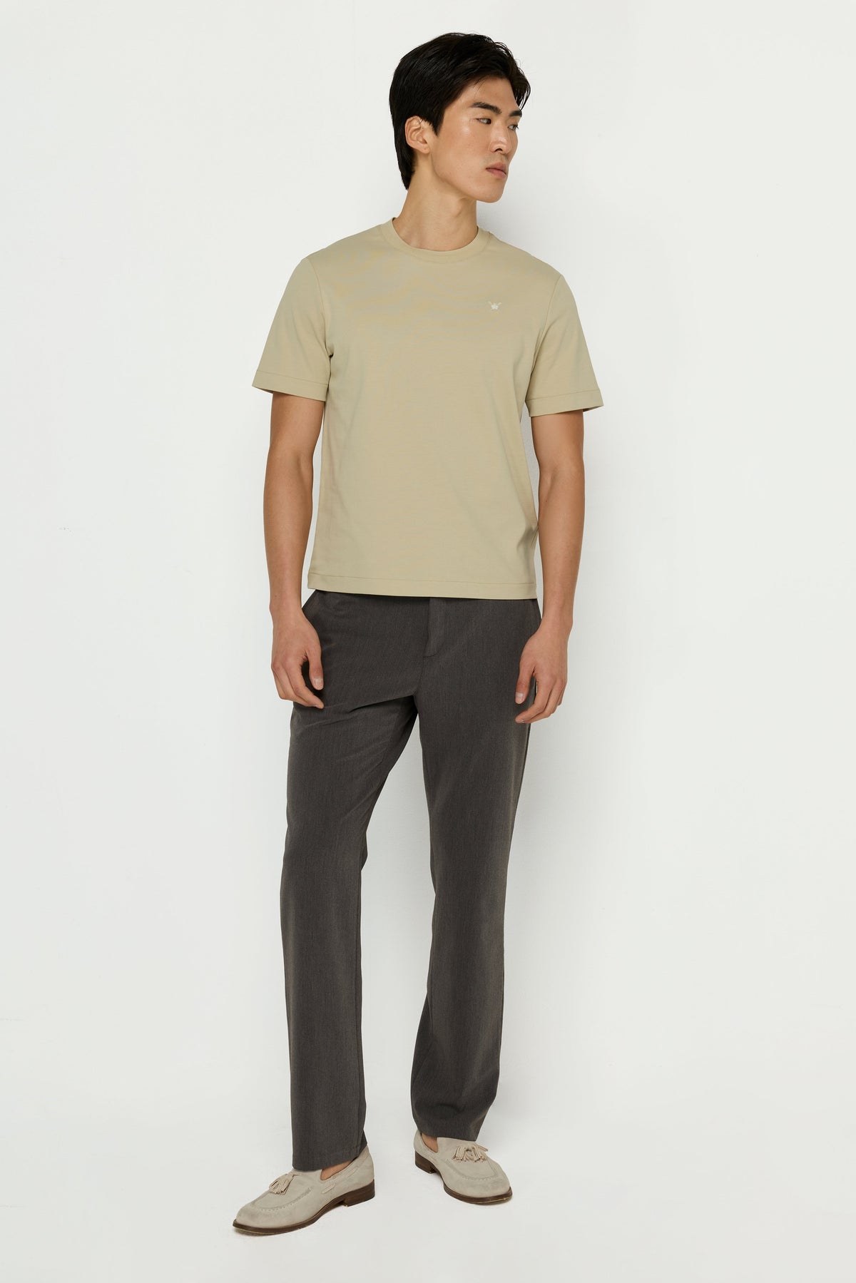 Cotton Regular Fit T-Shirt Green