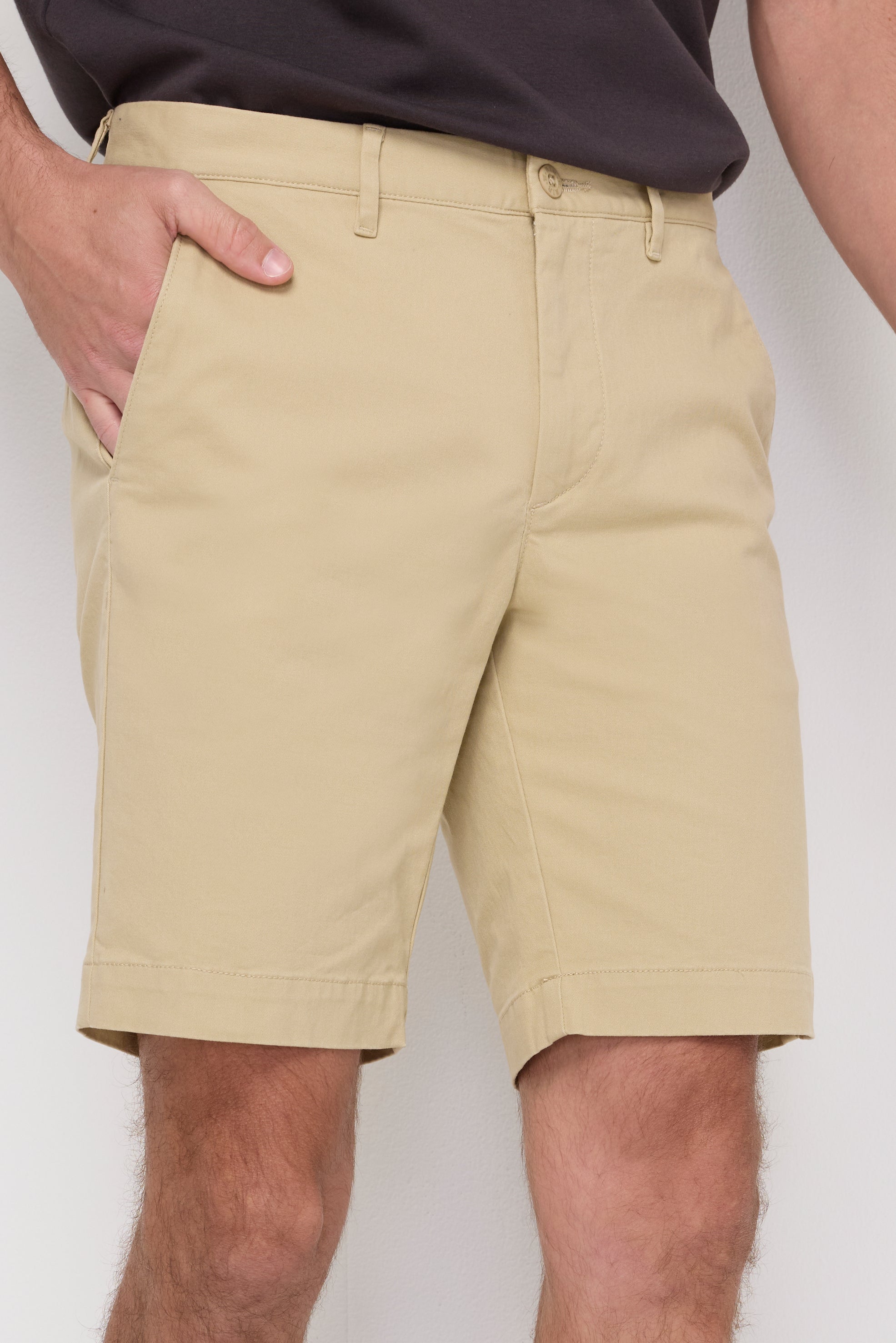 Chino 9-Inch Shorts Pants Beige