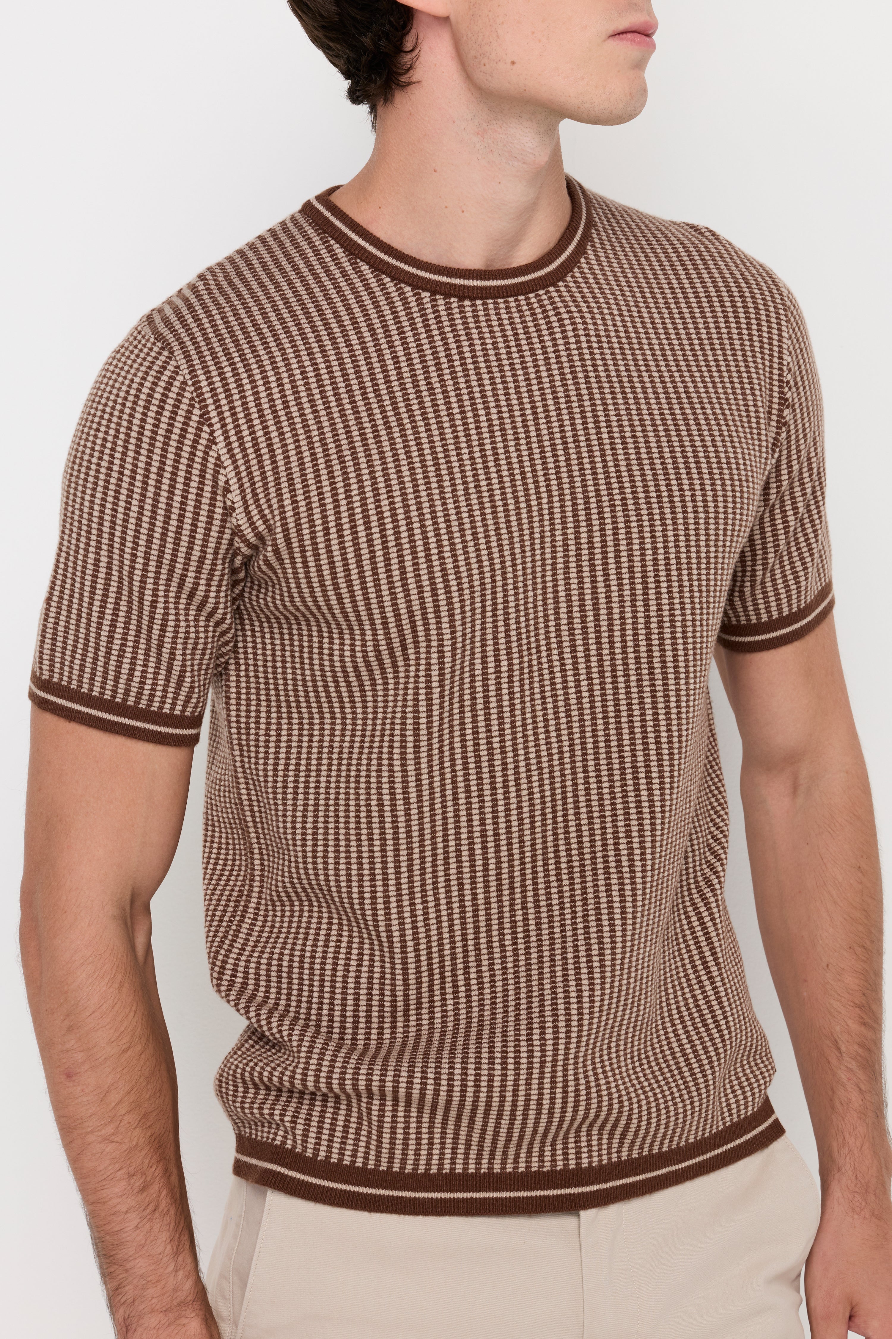 Vertical Micro-Stripe Knit Tee Dark Brown