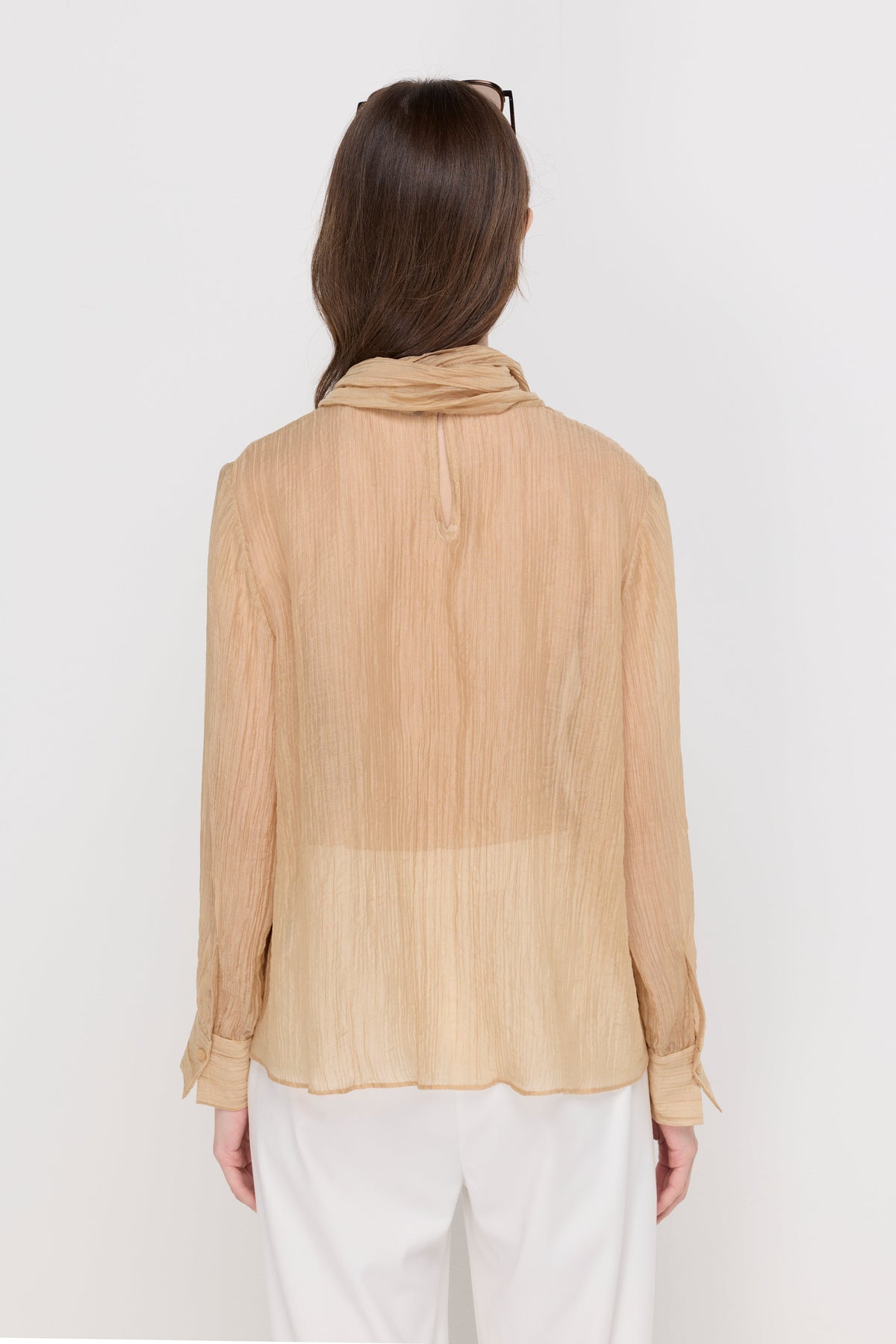 Crinkled Sheer Tie-Neck Blouse Brown