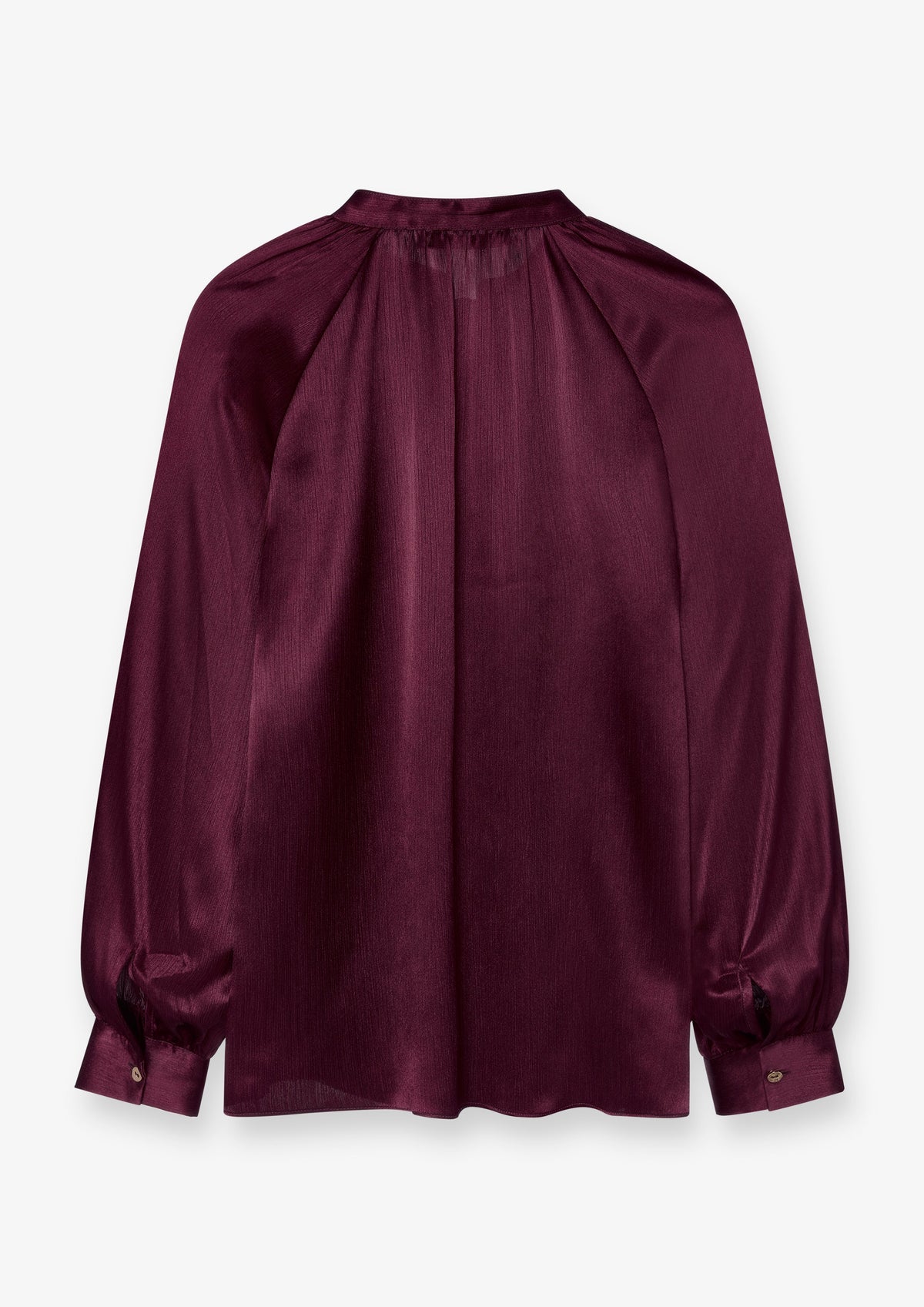 Ruffle Neck Satin Finish Blouse