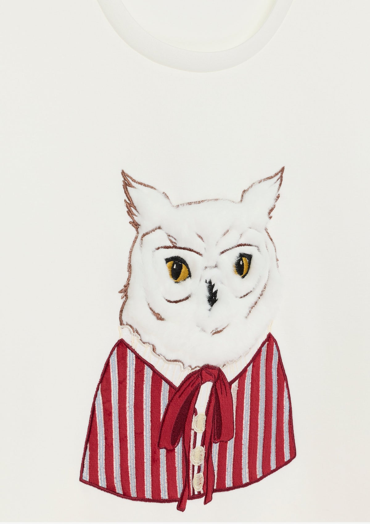 Illustrated Cat Graphic T-Shirt