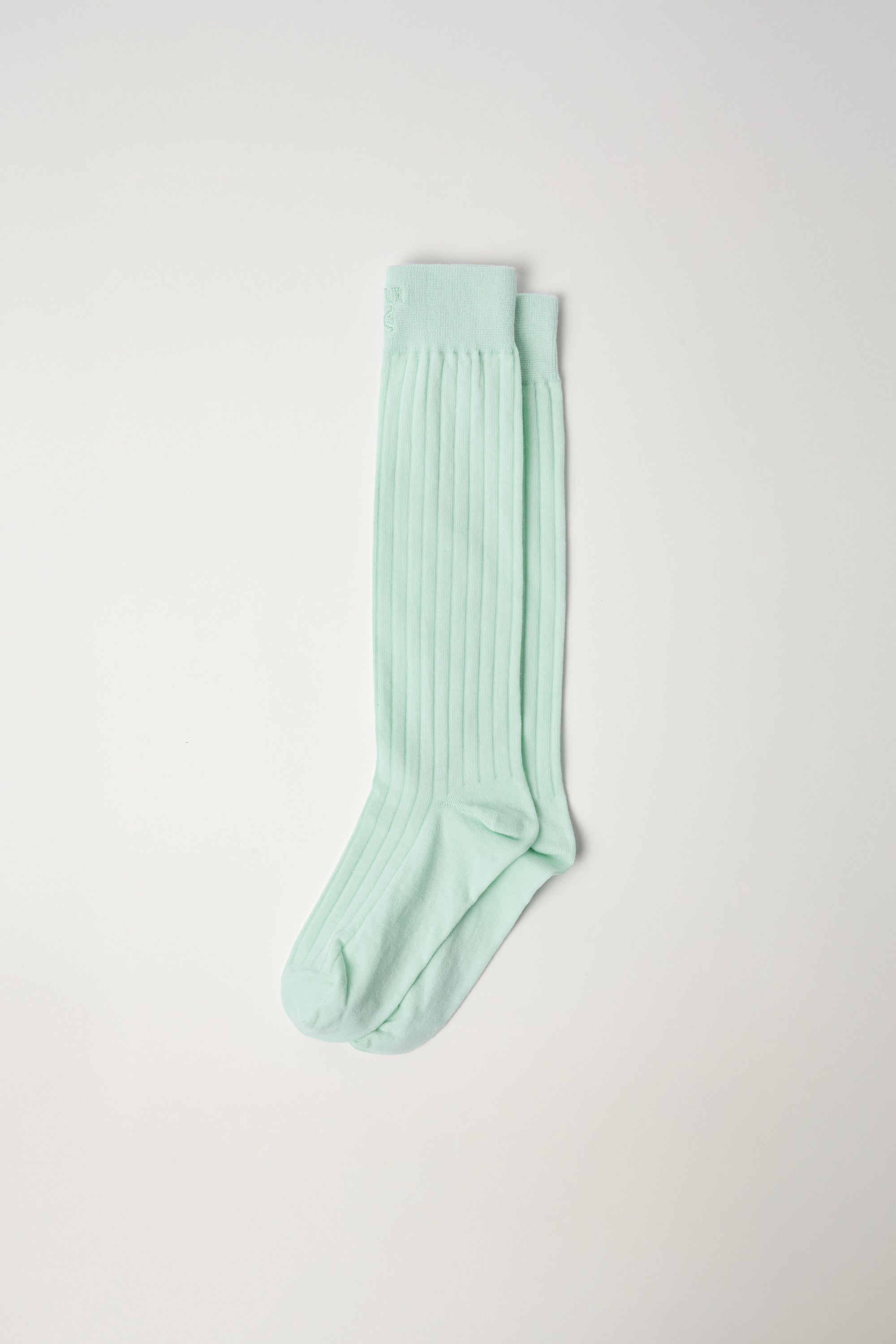 (W) Seethrough Ribbed Socks Mint