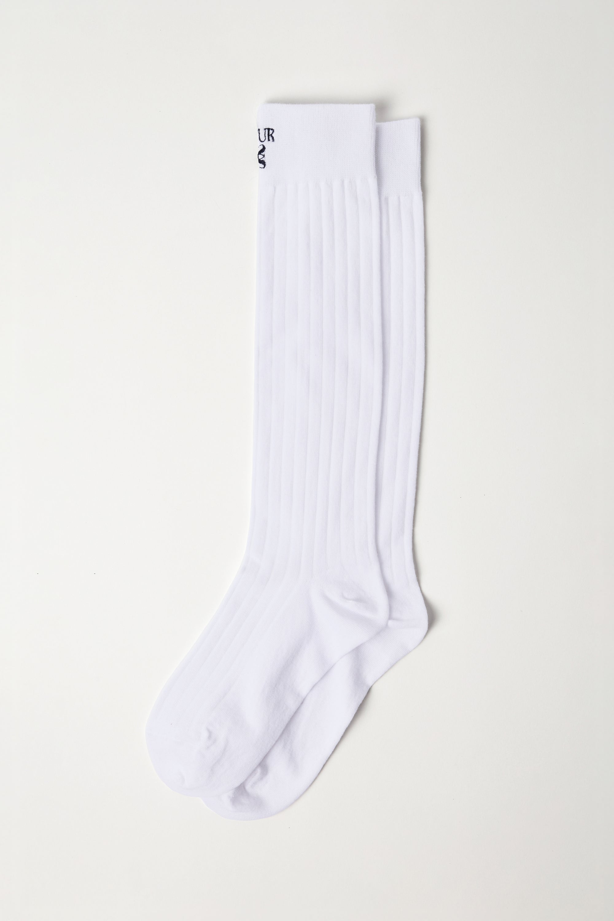 (W) Seethrough Ribbed Socks White